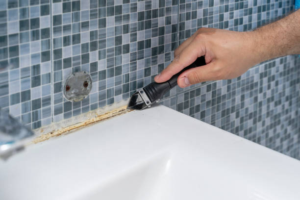 Best Toxic Mold Removal  in Landrum, SC